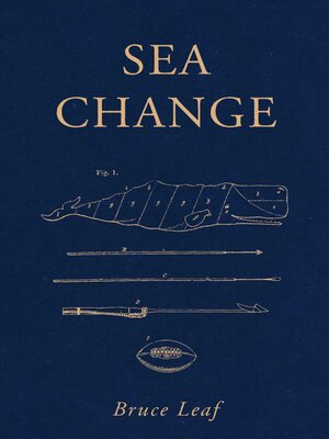 cover image of Sea Change